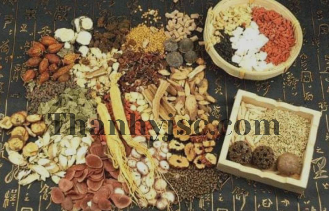 Quy Trình Sấy Khô Dược Liệu Bằng Tủ Sấy Nhiệt